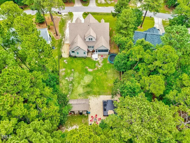 a view of a bunch of plants and trees