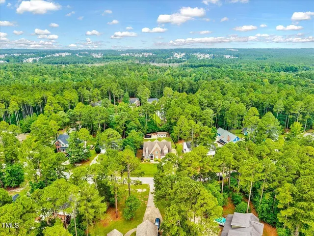 a view of a yard with plants