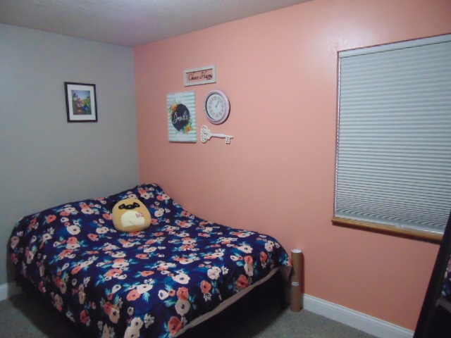2871 East Roggy Road Ithaca, MI 48847 - Photo 34 of 60 1873021-33.JPG
