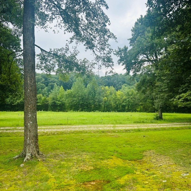 1030 Stones Road Camden, TN 38320 - Photo 8 of 54 Gallery Image 8