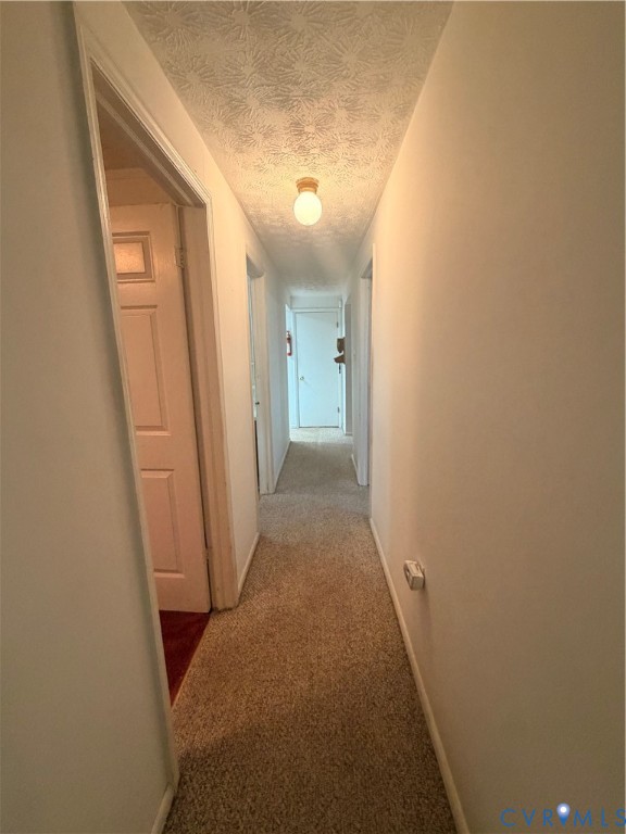 1313 Poplar Lawn Road Blackstone, VA 23824 - Photo 13 of 26 a view of a hallway