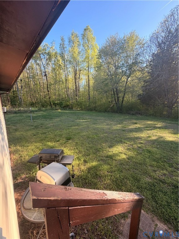 1313 Poplar Lawn Road Blackstone, VA 23824 - Photo 21 of 26 a view of a yard with furniture