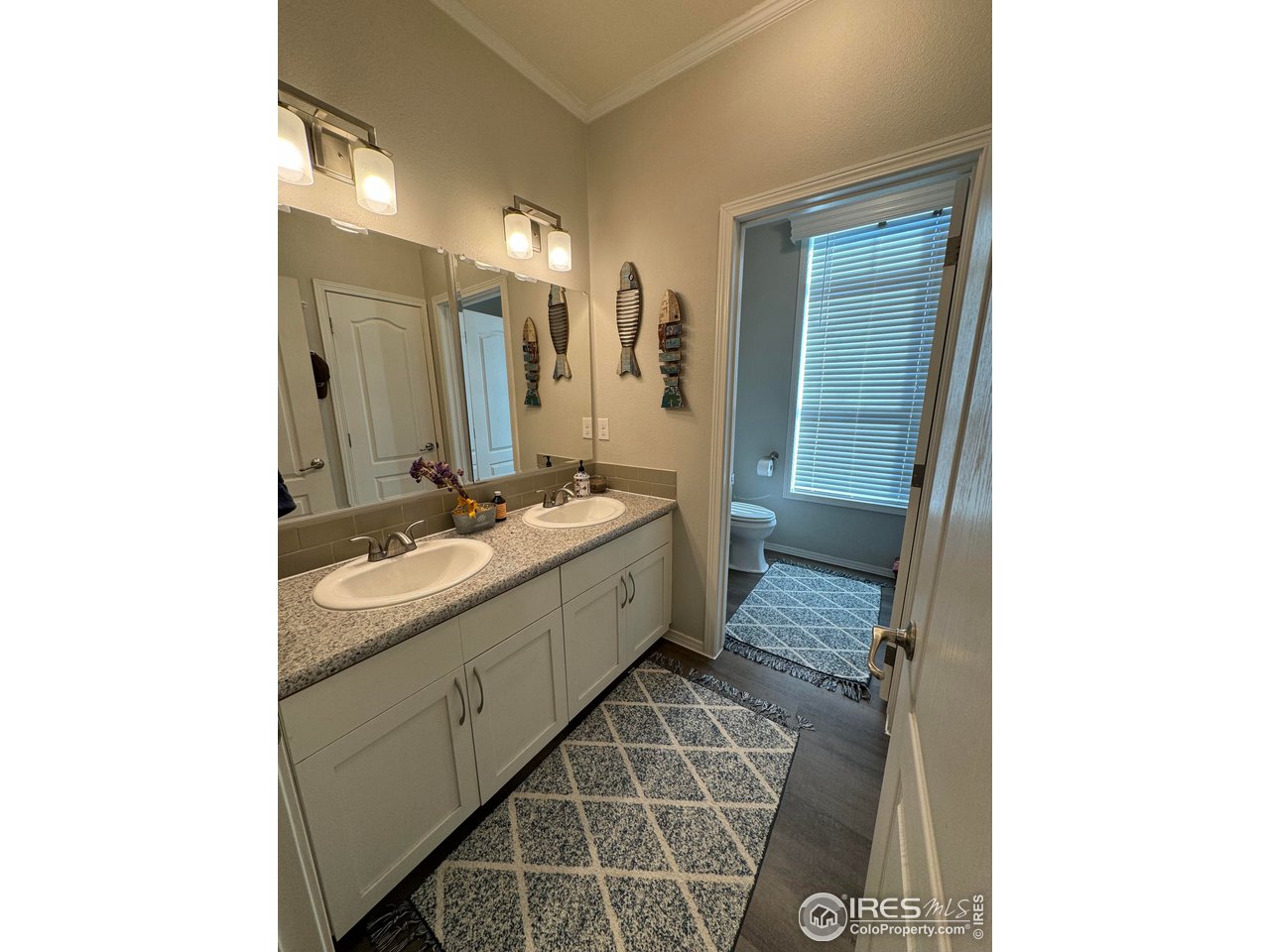 20 East Ranch Road Wiggins, CO 80654 - Photo 10 of 22 Gallery Image 10