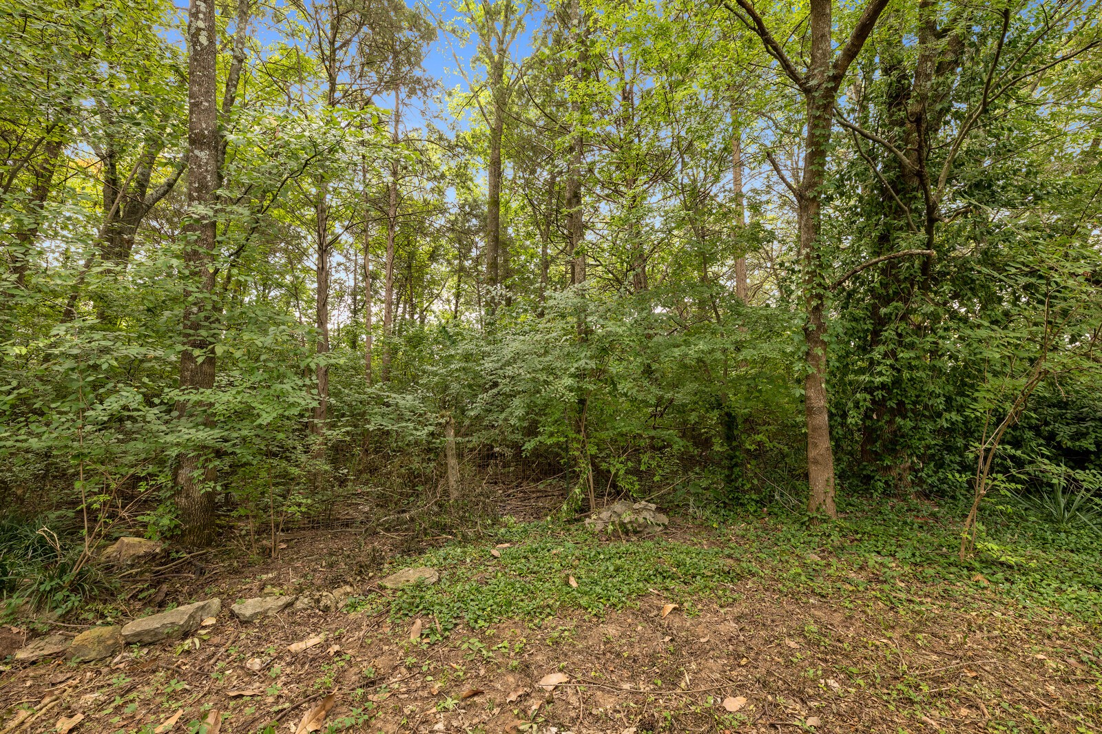 1225 Jacksons View Road Hermitage, TN 37076 - Photo 28 of 29 a view of a forest with trees in the background