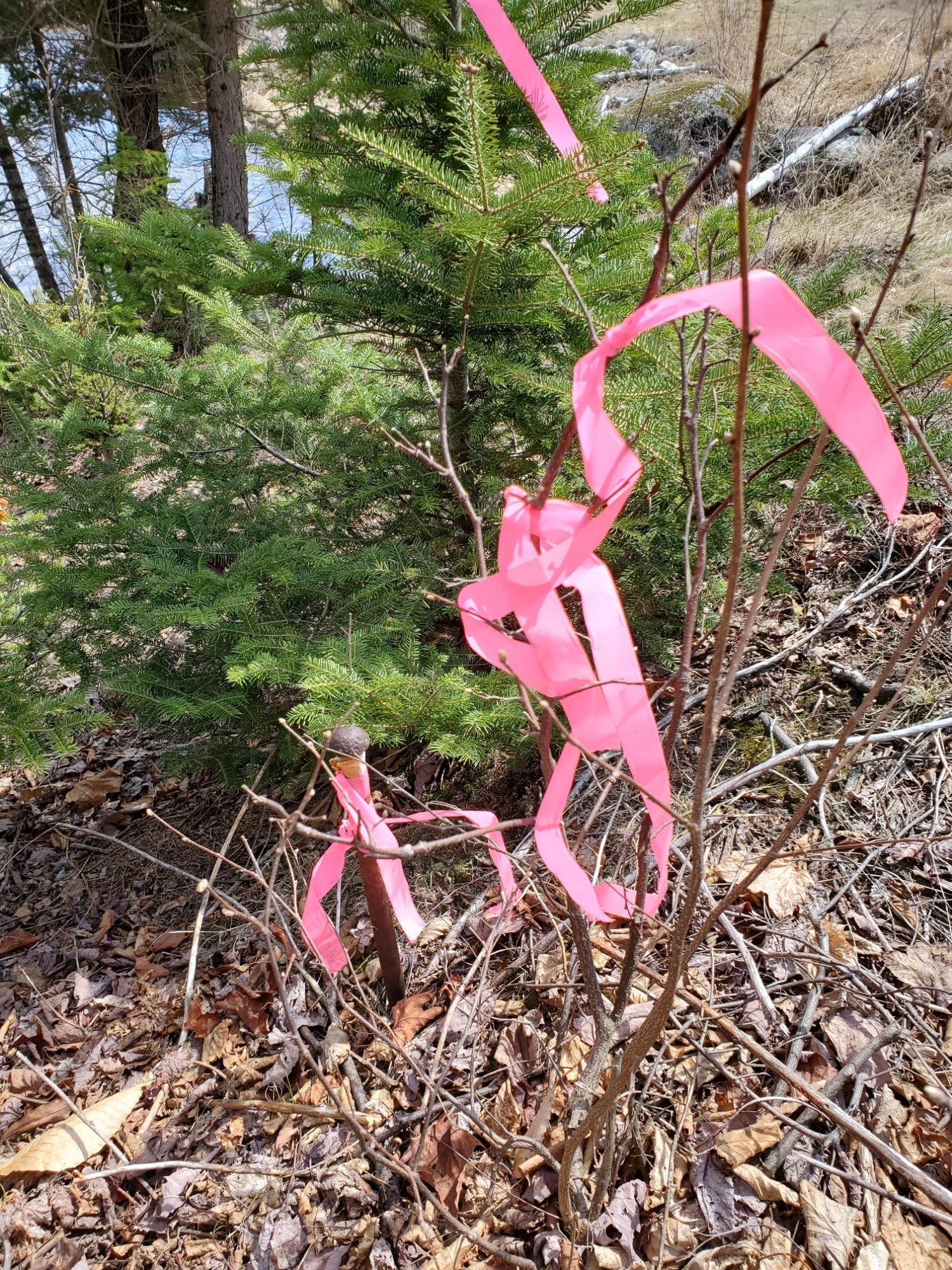 67 Powersville Road Medway, ME 04460 - Photo 51 of 55 pin at river nearest dam