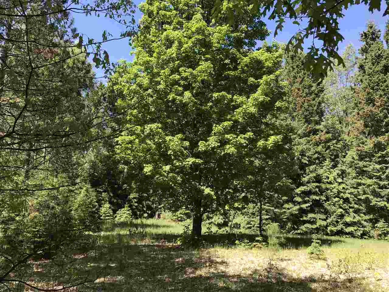 8709 North Lakola Road Tustin, MI 49688 - Photo 19 of 42 1833176-22.JPG