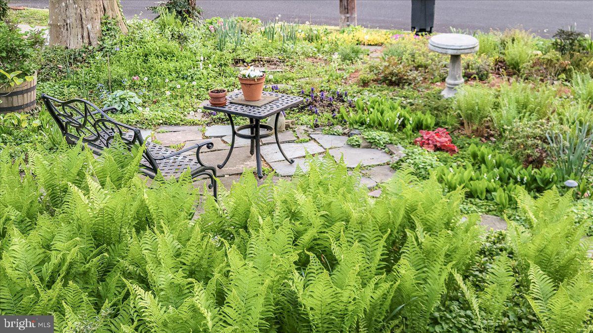 173 Jefferson Road Princeton, NJ 08540 - Photo 8 of 33 Front garden and patio