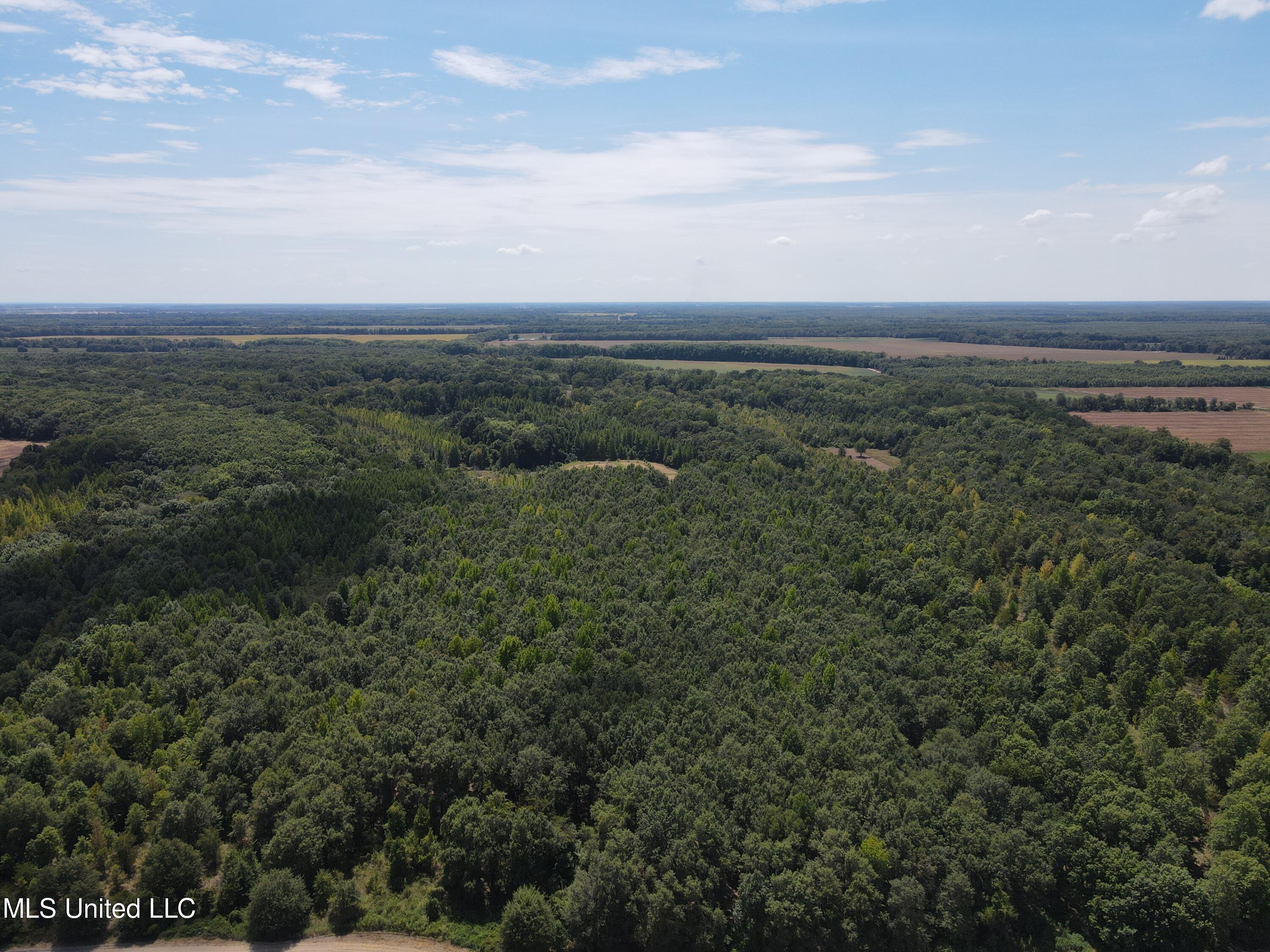Clayton Road Marks, MS 38646 - Photo 1 of 30 The Quitman 80