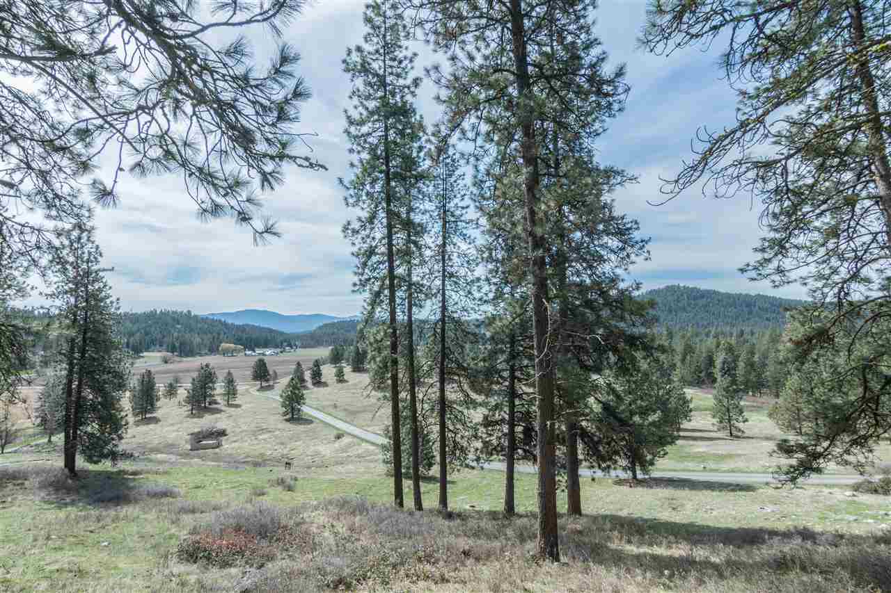 419 A Old Dominion Road Colville, WA 99114 - Photo 49 of 50