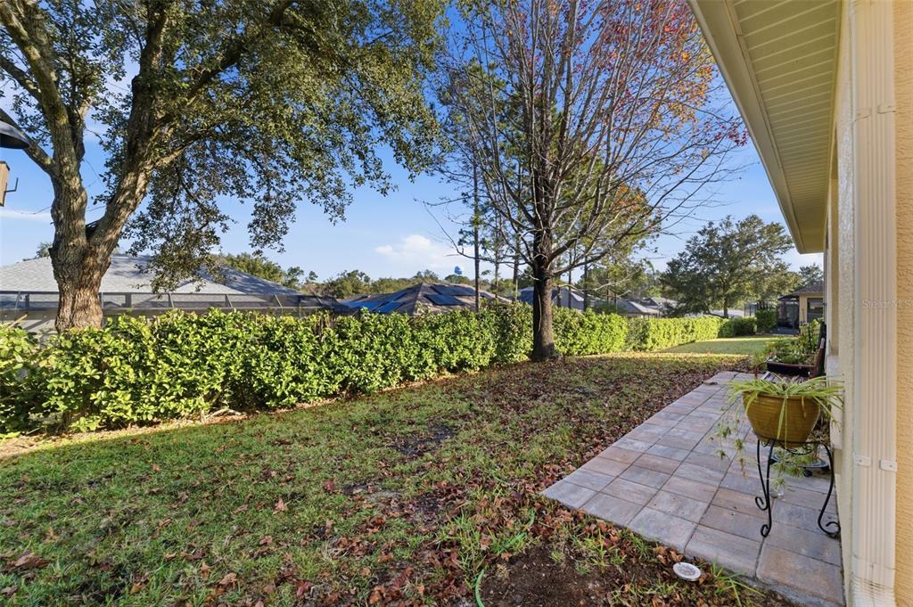 1733 West Caroline Path Lecanto, FL 34461 - Photo 21 of 29 a view of a yard with plants and a large tree