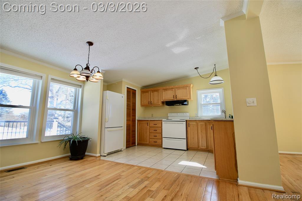 11250 South New Lothrop Road Durand, MI 48429 - Photo 4 of 20 Gallery Image 4