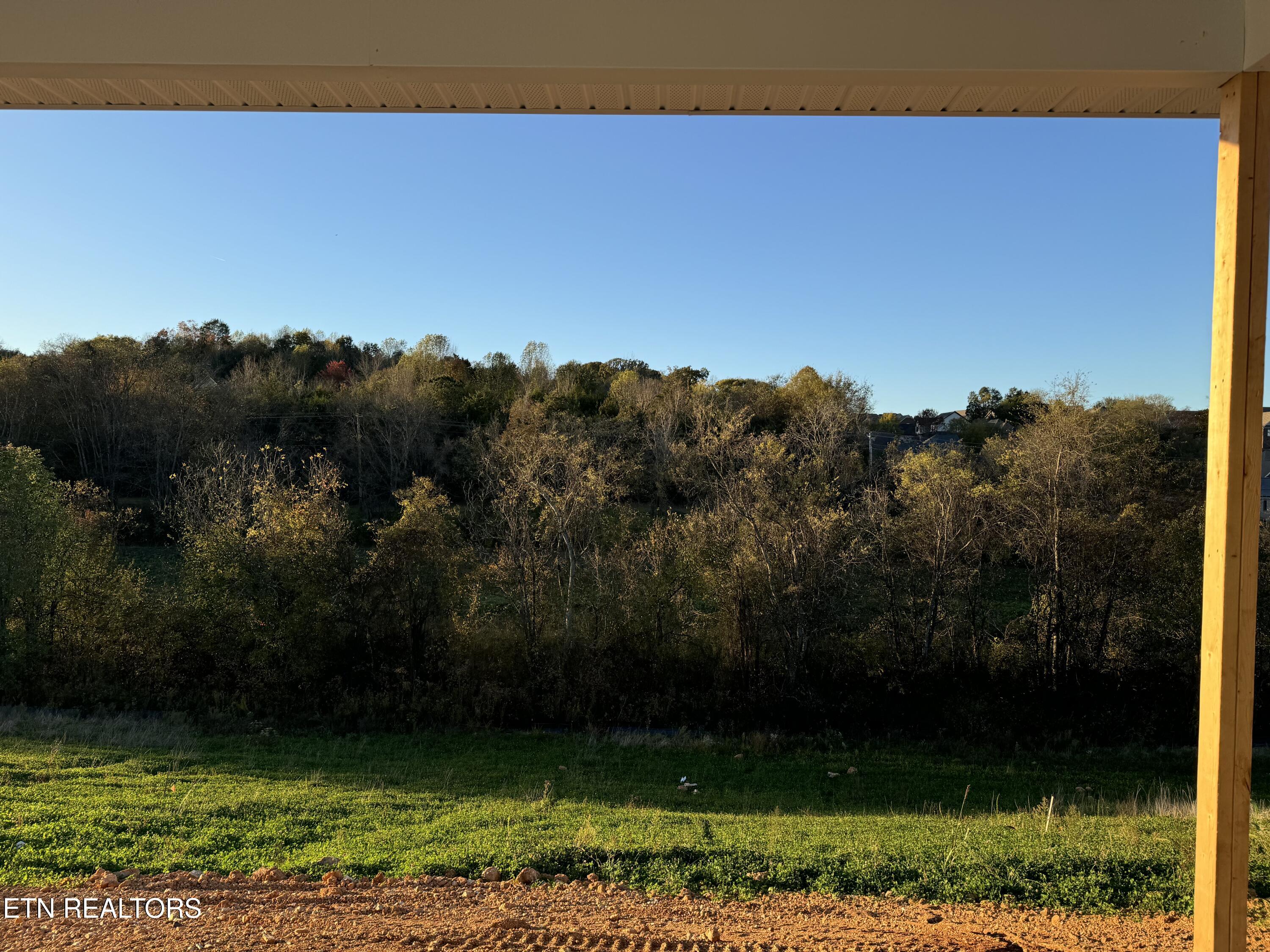 2036 Hickory Reserve Road Knoxville, TN 37932 - Photo 17 of 18 View from Patio