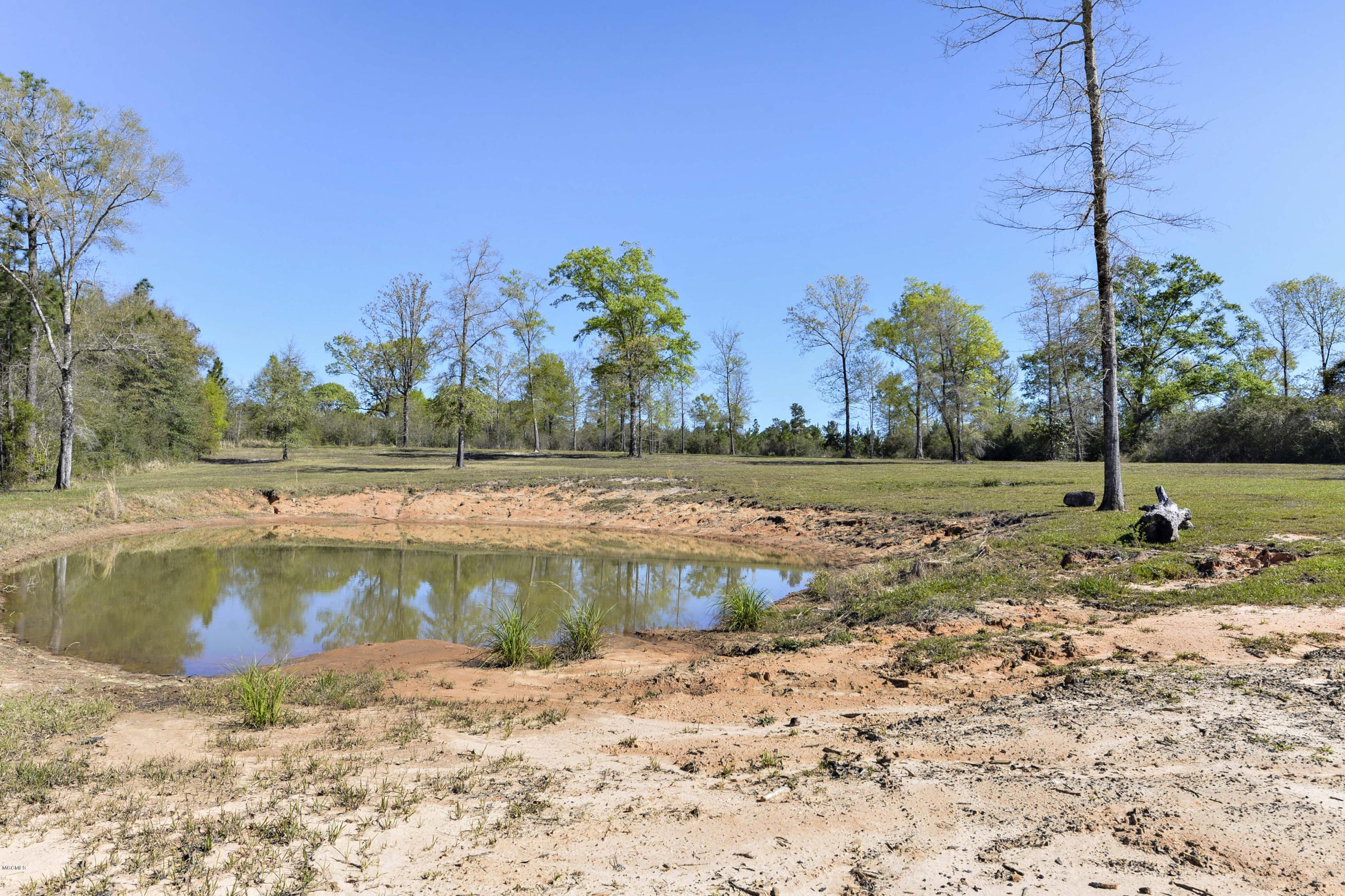 287 Rawls Road Perkinston, MS 39573 - Photo 36 of 48 036