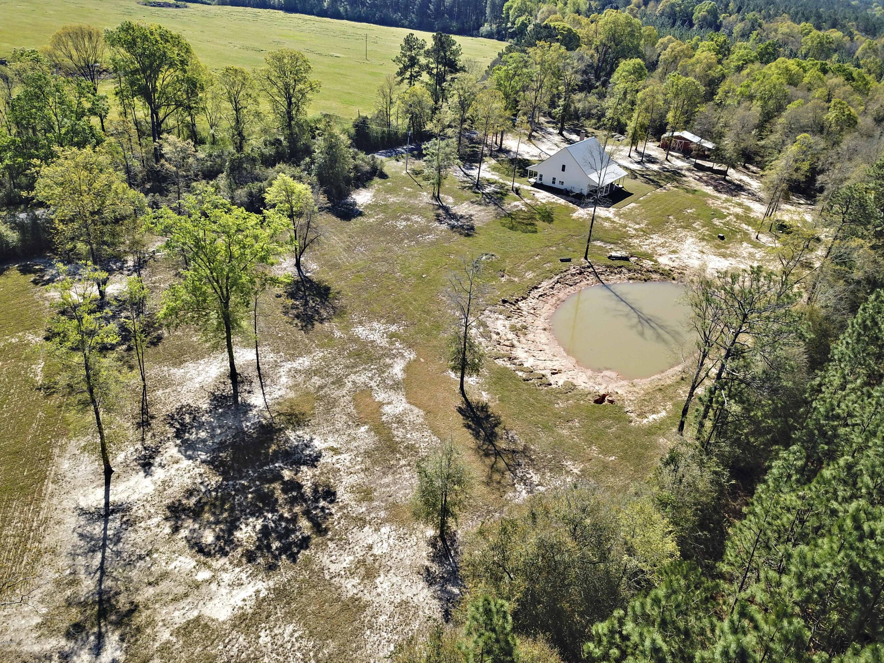 287 Rawls Road Perkinston, MS 39573 - Photo 42 of 48 042