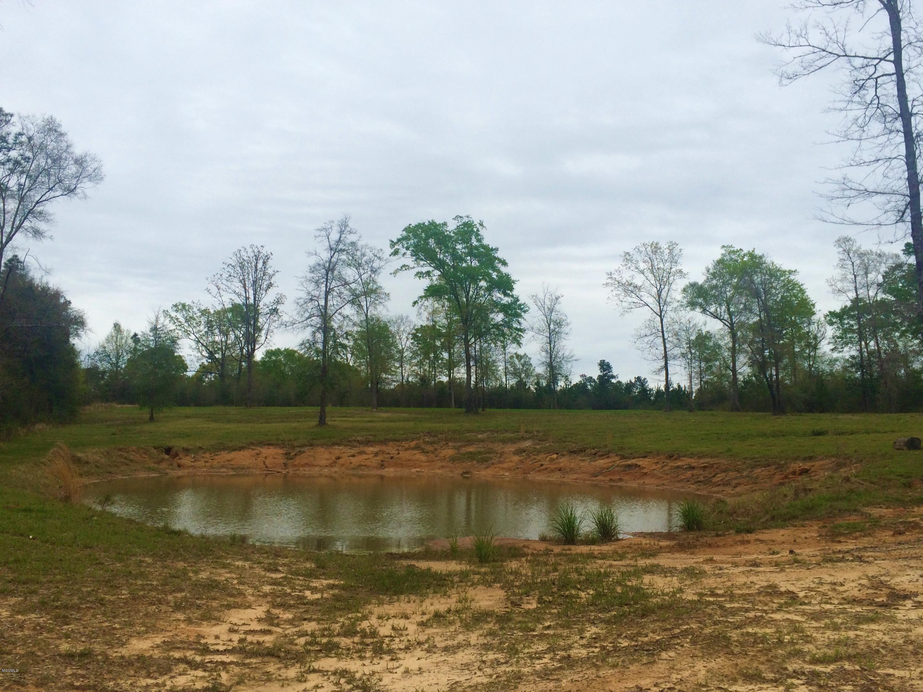 287 Rawls Road Perkinston, MS 39573 - Photo 46 of 48 IMG_5757 (2)
