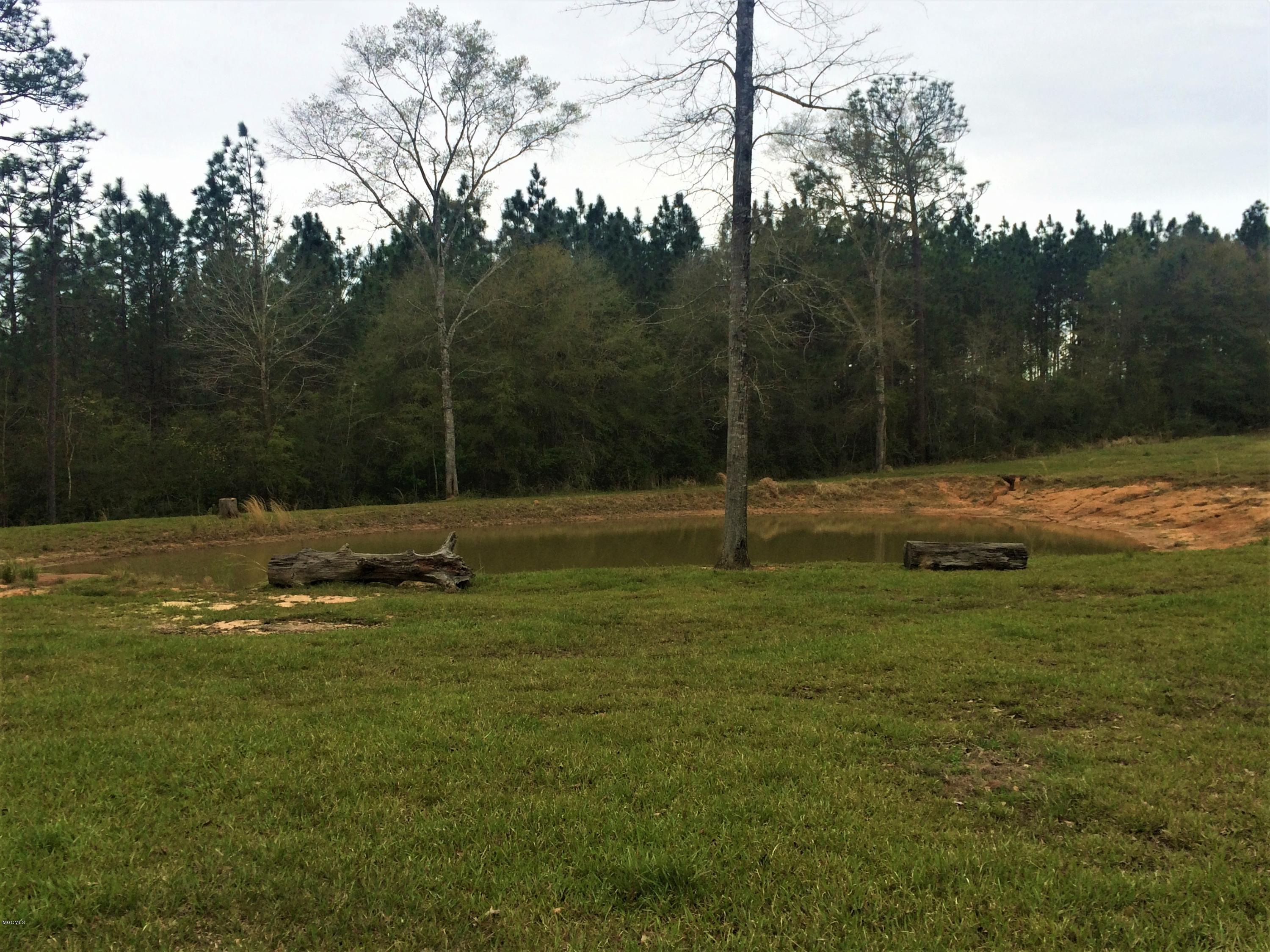 287 Rawls Road Perkinston, MS 39573 - Photo 47 of 48 IMG_5756 (2)