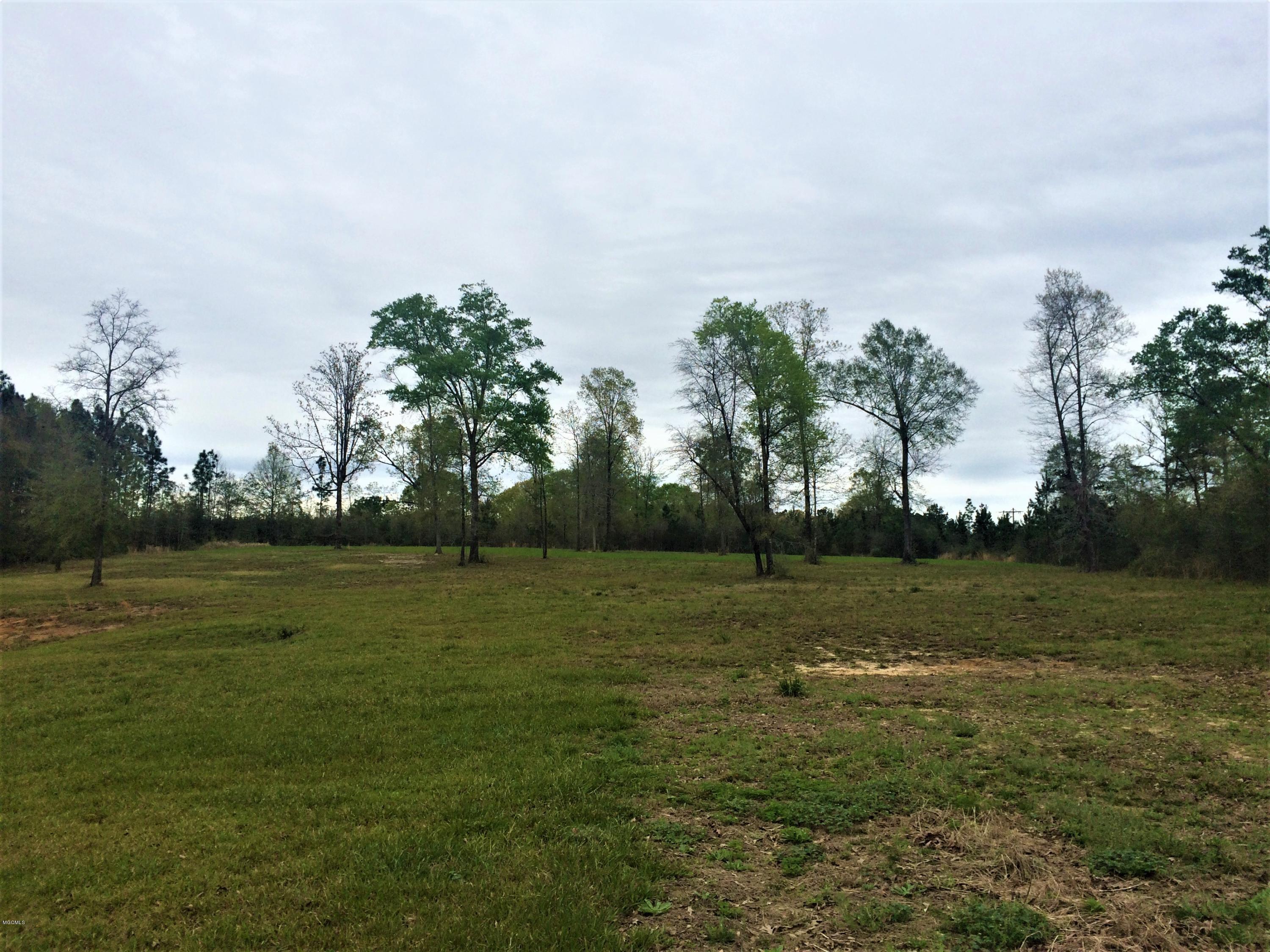 287 Rawls Road Perkinston, MS 39573 - Photo 48 of 48 IMG_5755