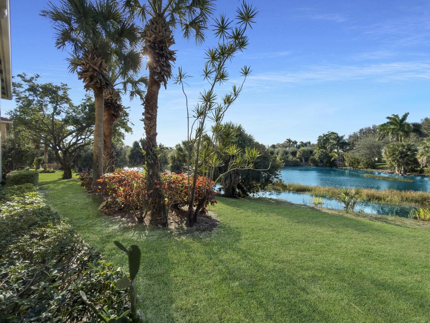 12438 Crystal Pointe Drive, Unit 102 Boynton Beach, FL 33437 - Photo 31 of 39 a view of a garden with plants and a lake view