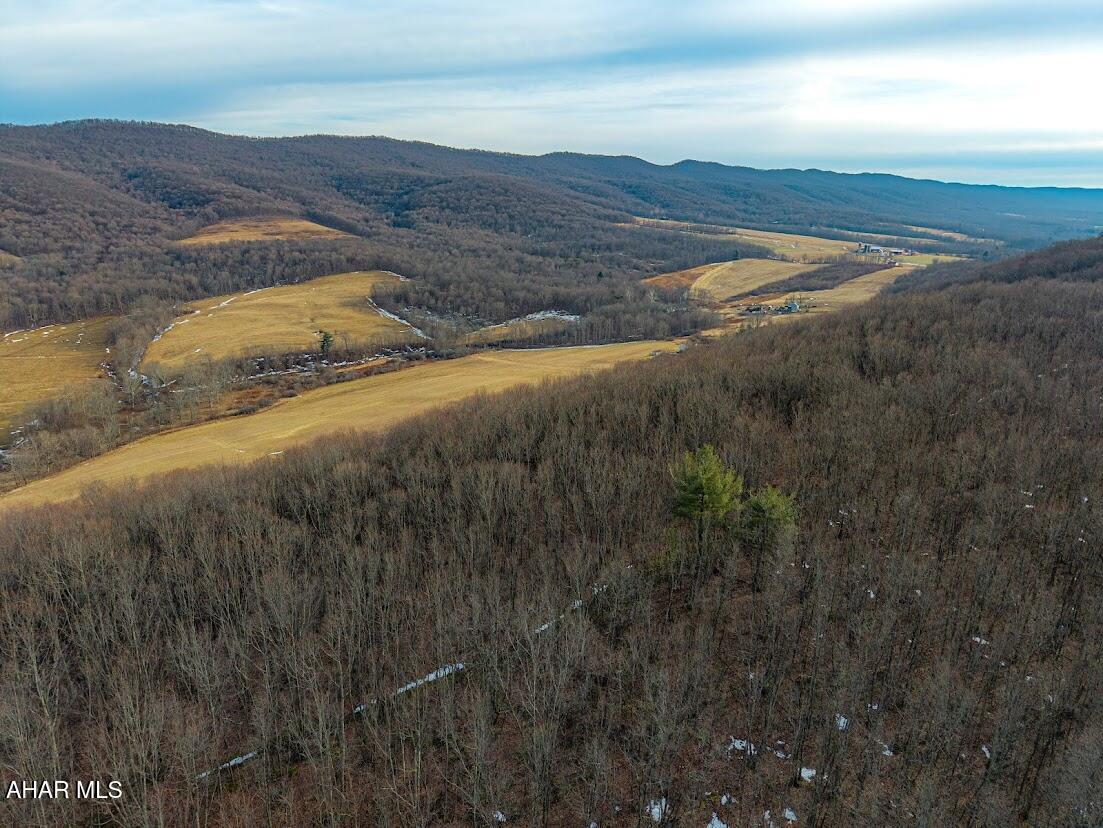 19.95-acre Milligans Cove Road Manns Choice, PA 15550 - Photo 11 of 15 Gallery Image 11
