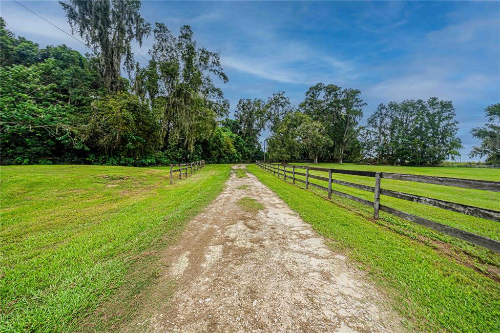 12615 Northwest Gainesville Road Reddick, FL 32686 - Photo 67 of 88 Gallery Image 67