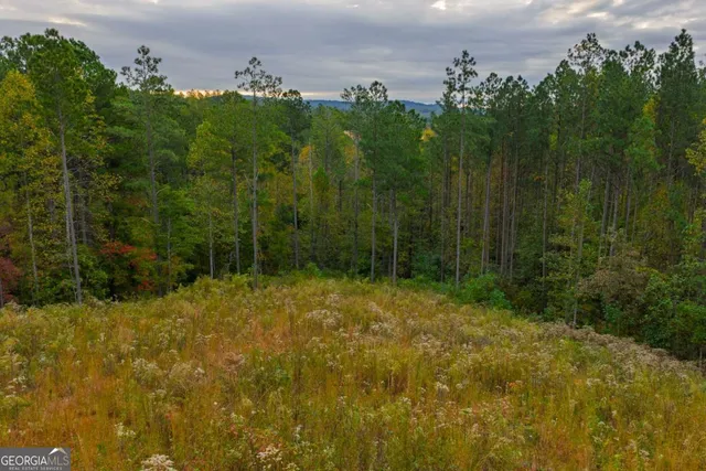 a view of a lake with a yard