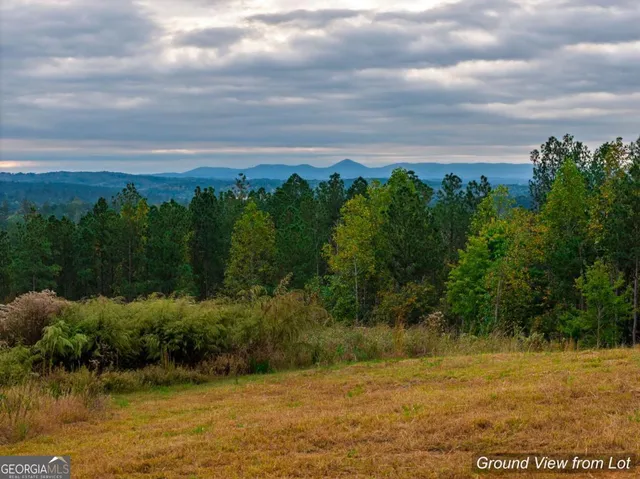 a view of a lake with a yard