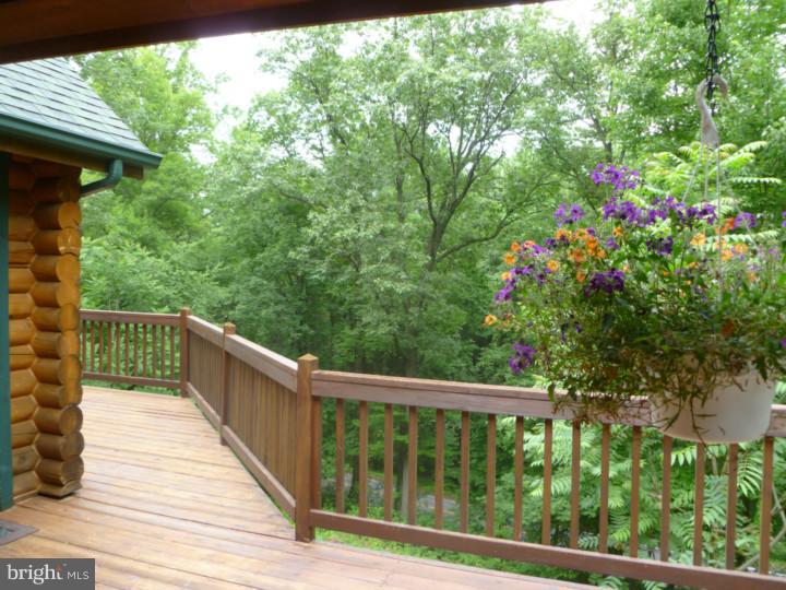 375 Oregon Road Mohnton, PA 19540 - Photo 4 of 25 Deck