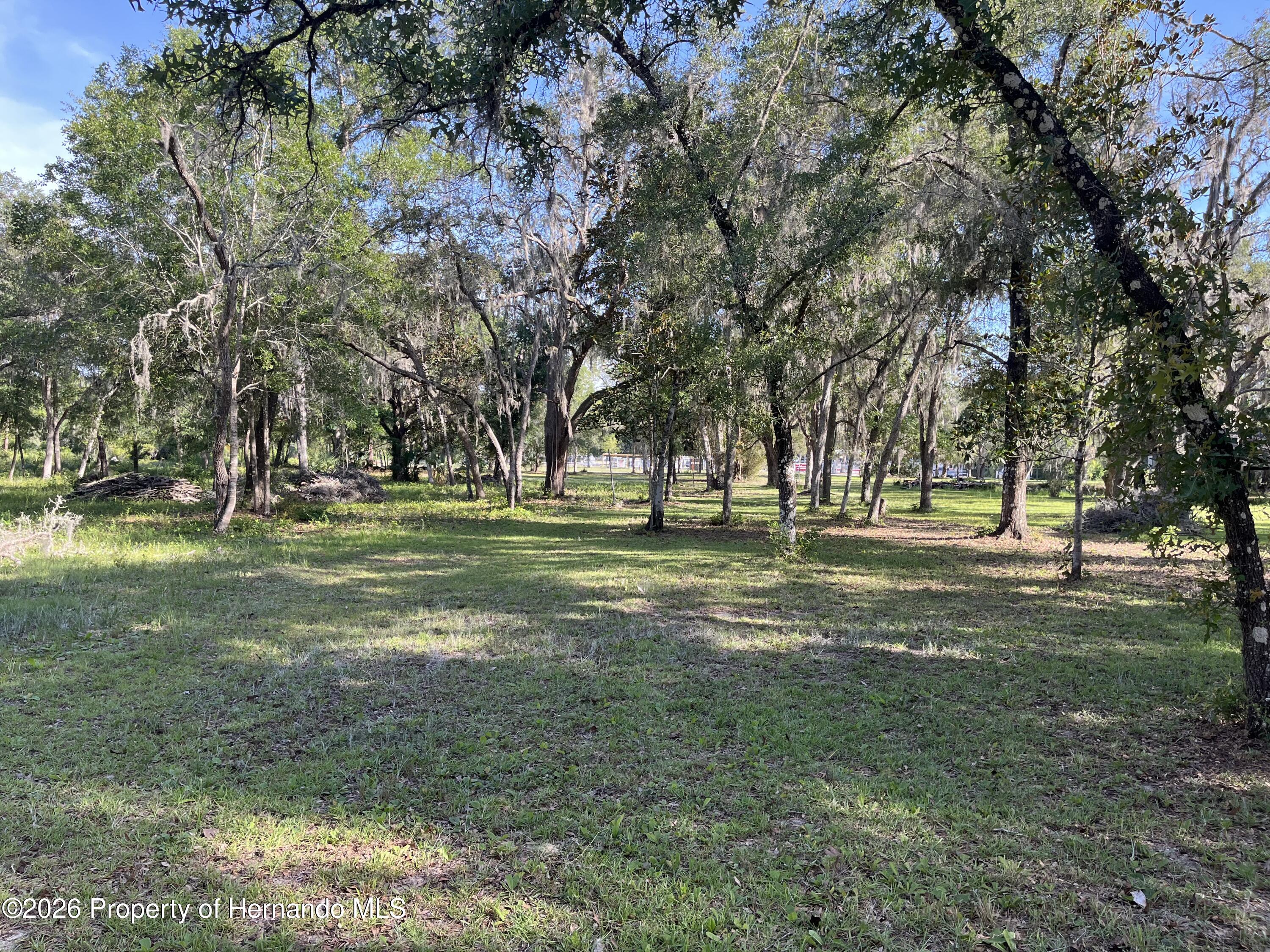 16305 Wiscon Road Brooksville, FL 34601 - Photo 11 of 33 Gallery Image 11
