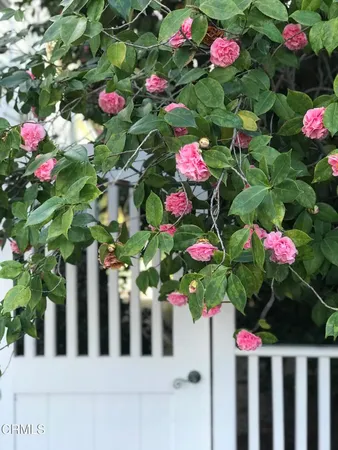 a view of a house with a big yard and large trees