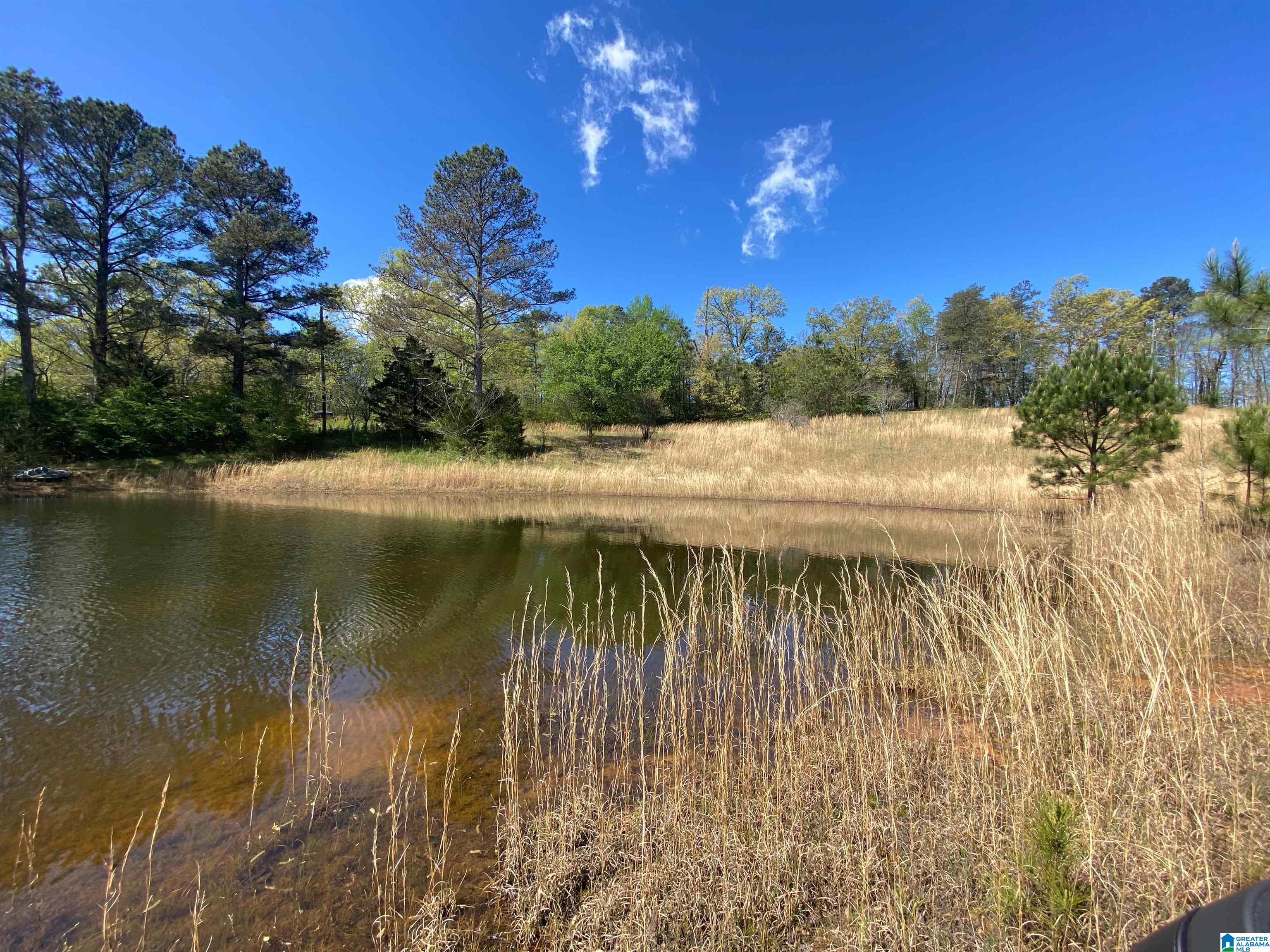2590 Levine Road Odenville, AL 35120 - Photo 28 of 33