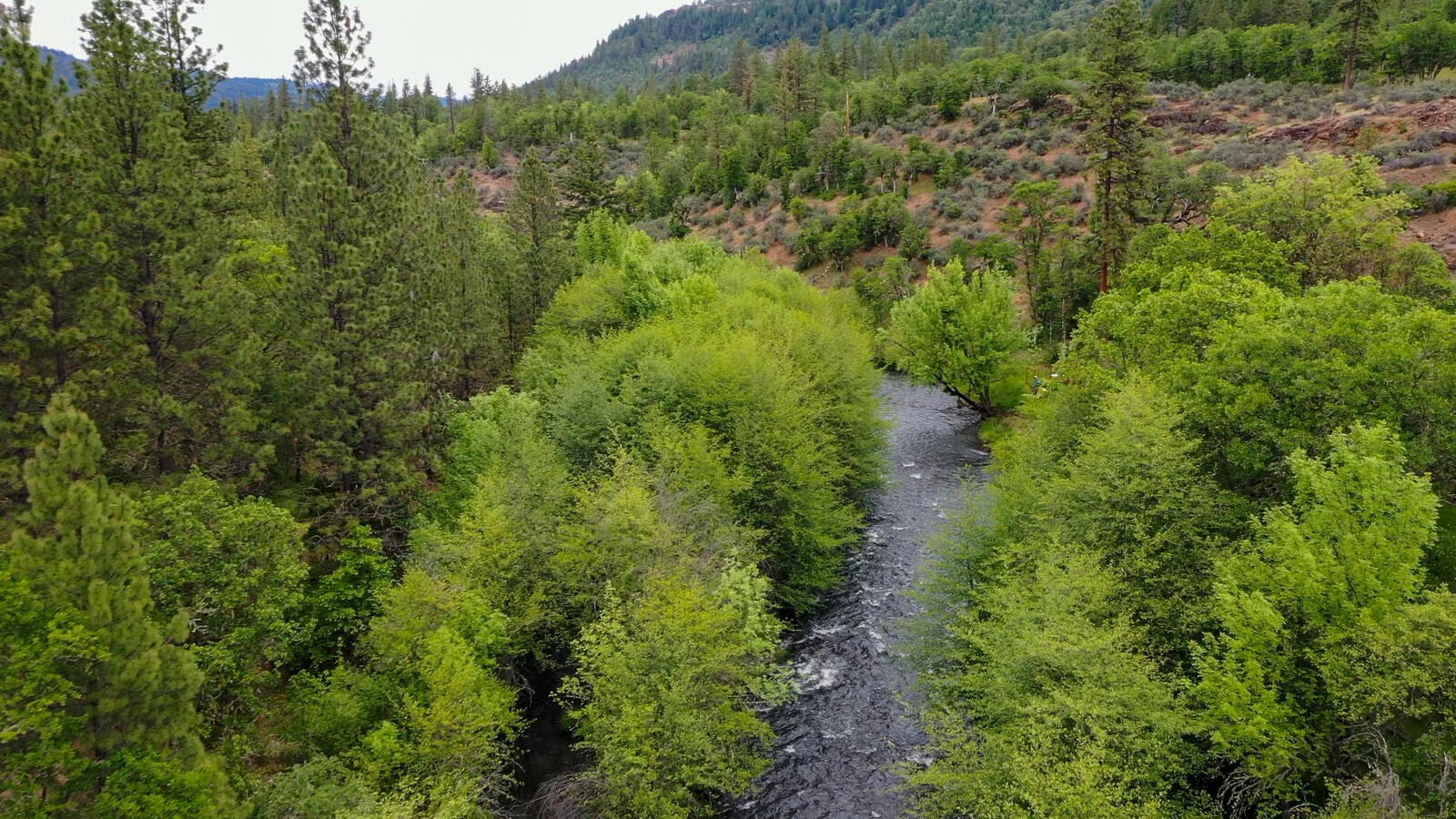 Crowfoot Rd Trail Trail, OR 97541 - Photo 9 of 11 09_CR_9_mls