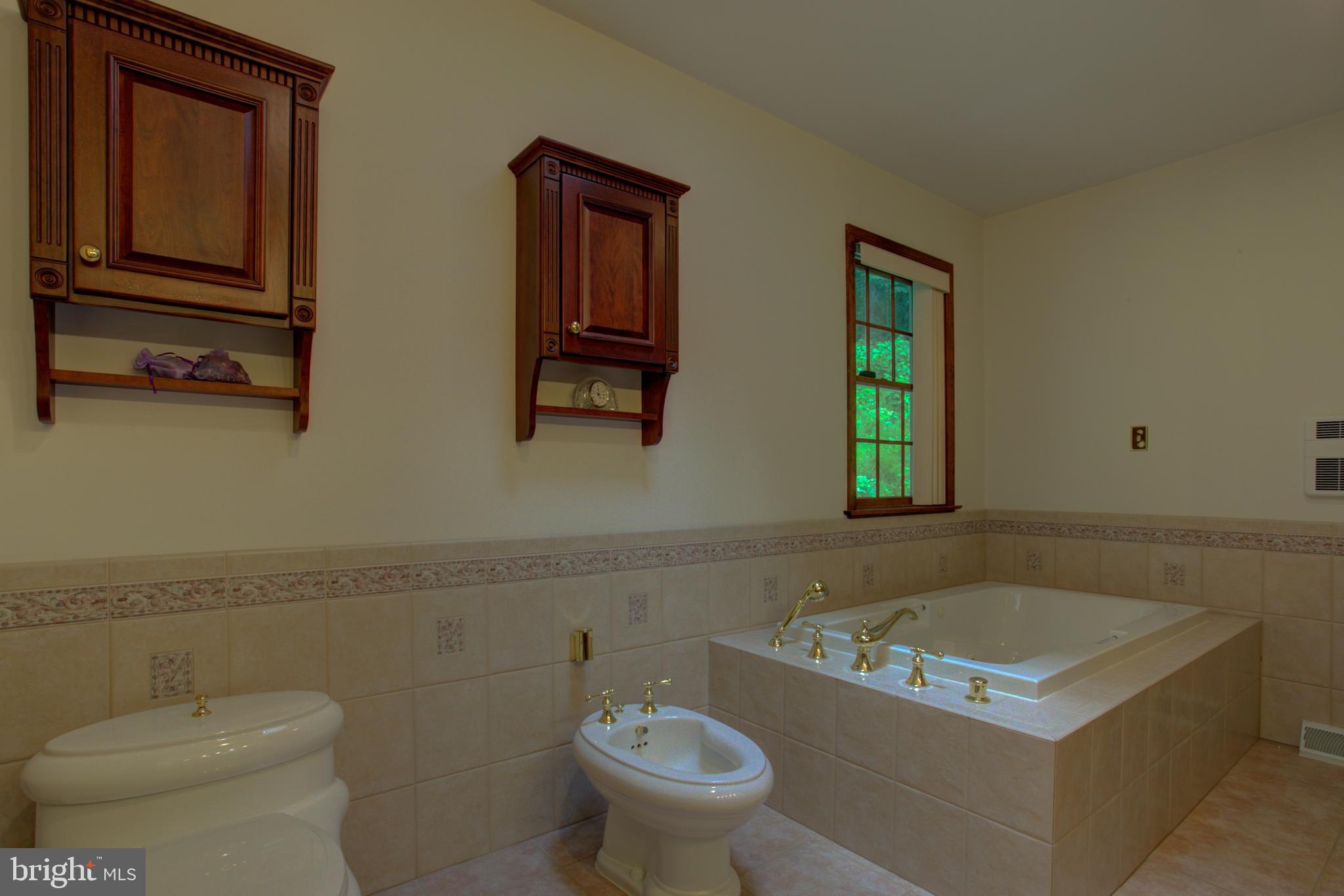 178 Ridge Avenue Ephrata, PA 17522 - Photo 15 of 44 Whirlpool Tub & Bidet