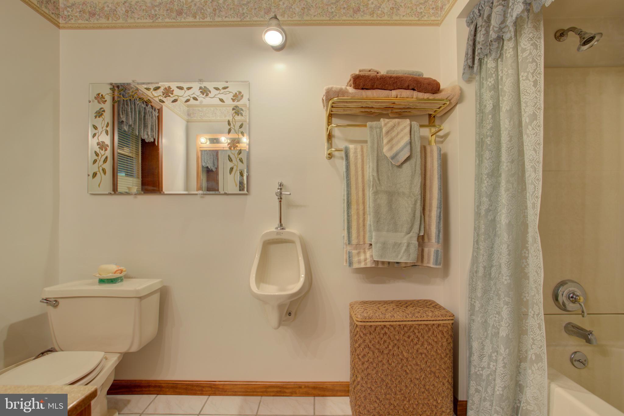 178 Ridge Avenue Ephrata, PA 17522 - Photo 31 of 44 LL Bath, Tub