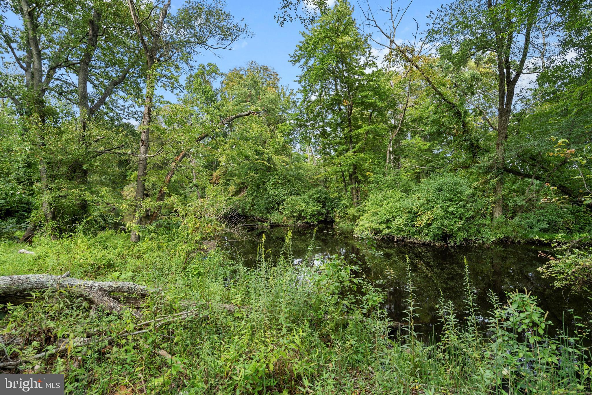 86 Bunting Bridge Road Cookstown, NJ 08511 - Photo 31 of 36 a view of a lush green forest