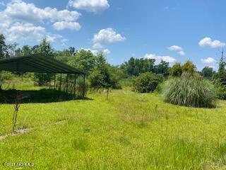 425 Hickory Hill Road Chadbourn, NC 28431 - Photo 2 of 7 IMG_0809