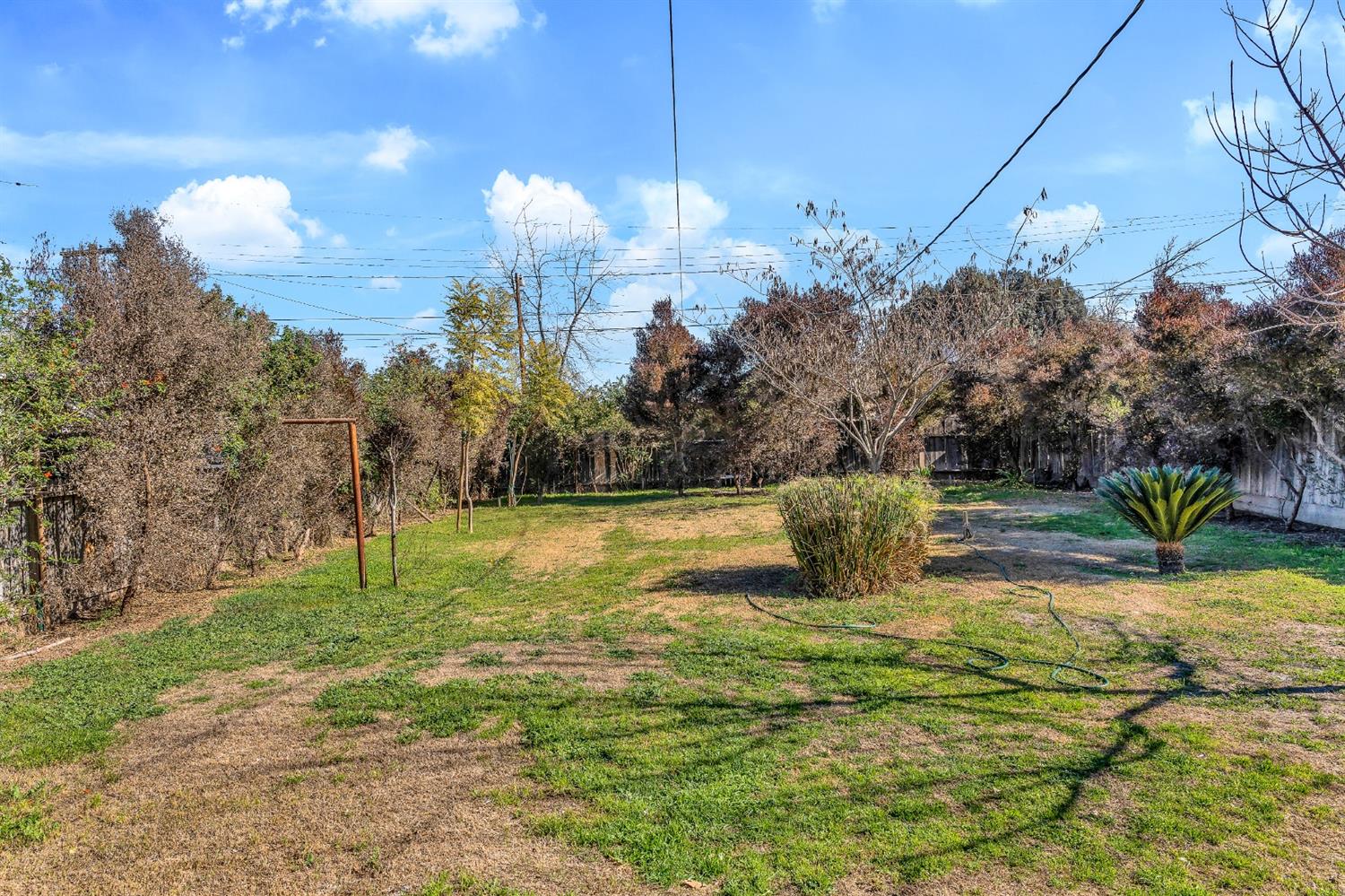 1228 C Street Reedley, CA 93654 - Photo 18 of 20 Gallery Image 18