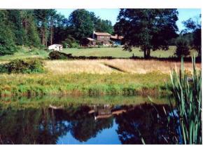 528 Old Lake Road Poultney, VT 05764 - Photo 19 of 26 Gallery Image 19