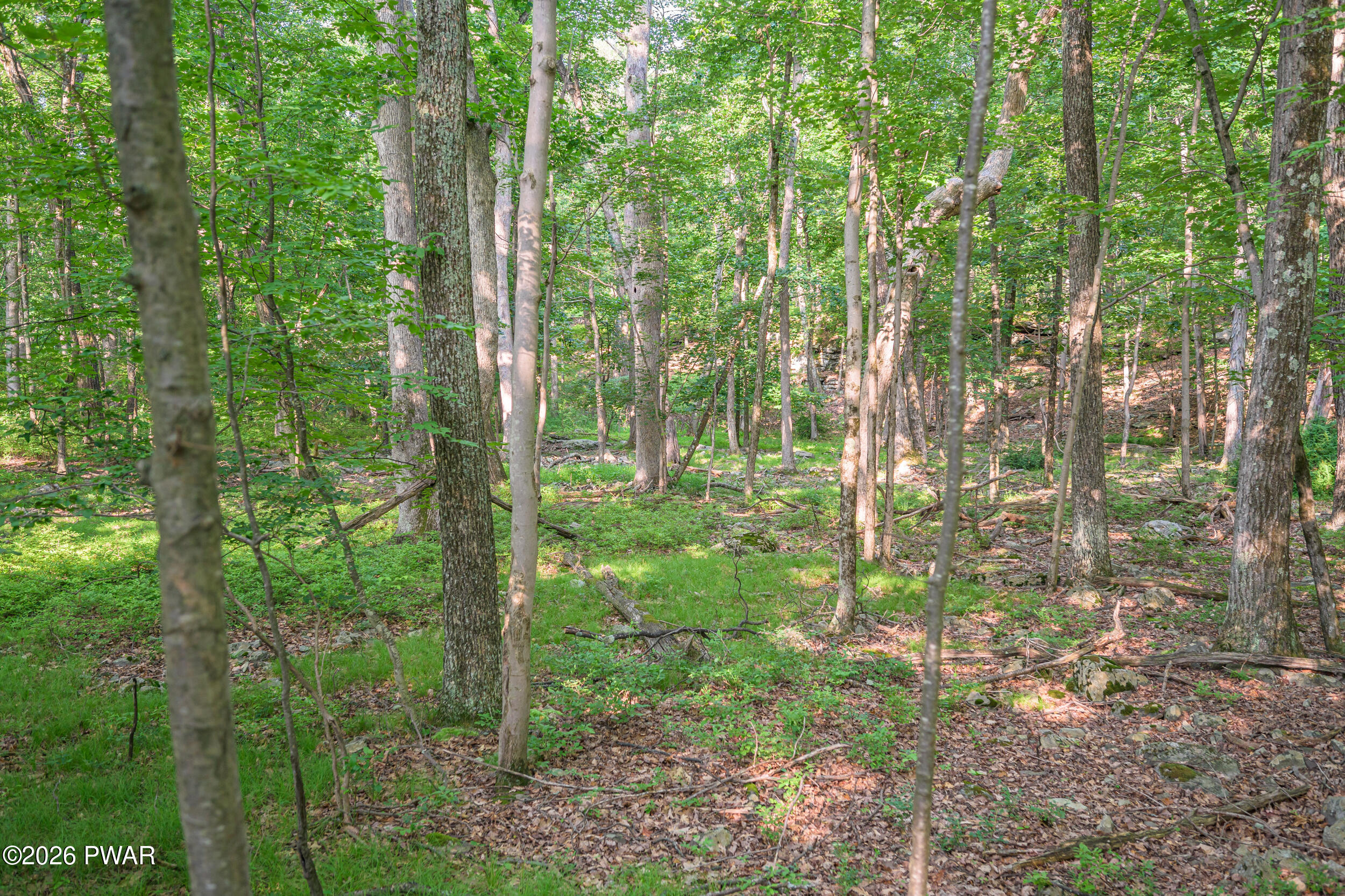 High Ridge Dingmans Ferry, PA 18328 - Photo 13 of 63