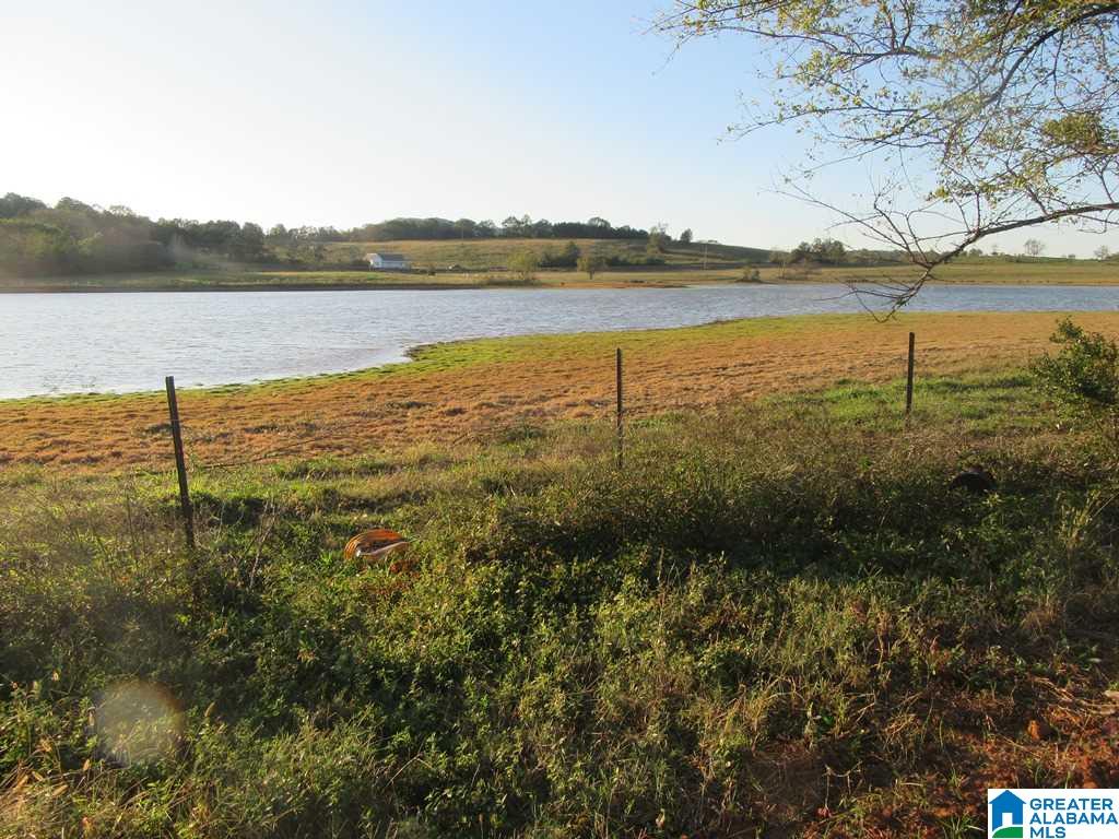 0 Eastaboga Road, Unit 1 Talladega, AL 35160 - Photo 6 of 30