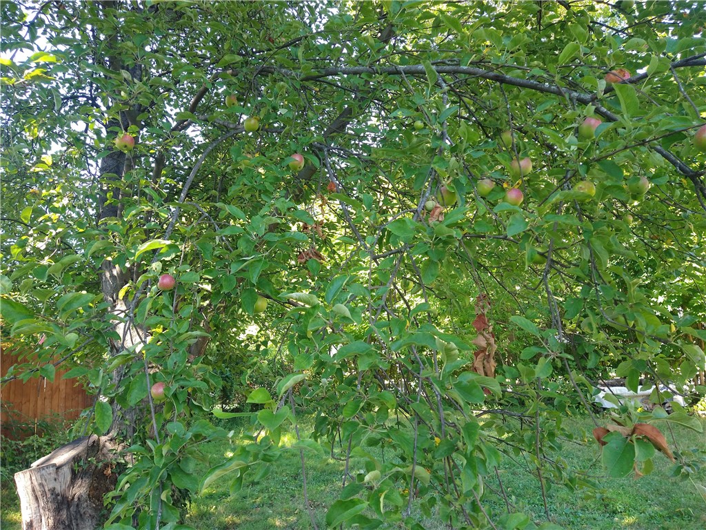 745 Winton Road Brighton, NY 14618 - Photo 41 of 49