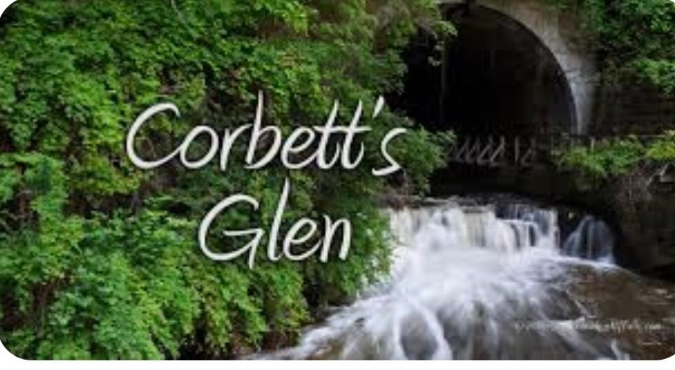 745 Winton Road Brighton, NY 14618 - Photo 44 of 49