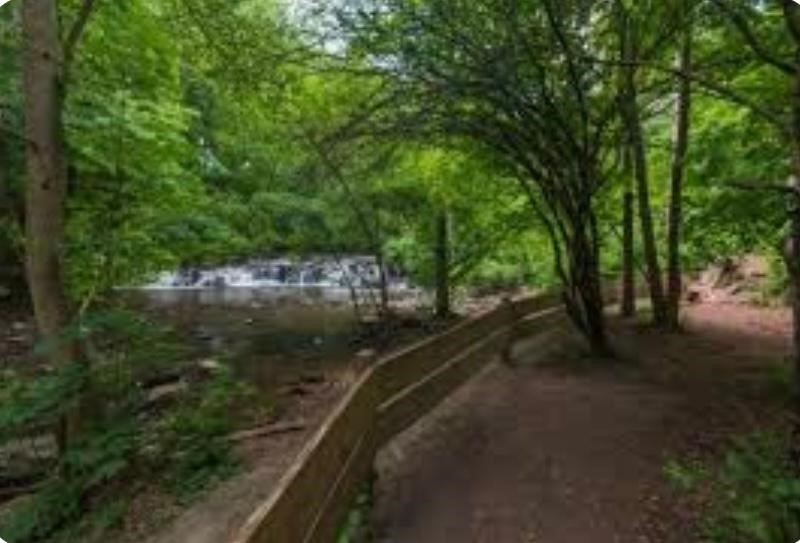 745 Winton Road Brighton, NY 14618 - Photo 45 of 49