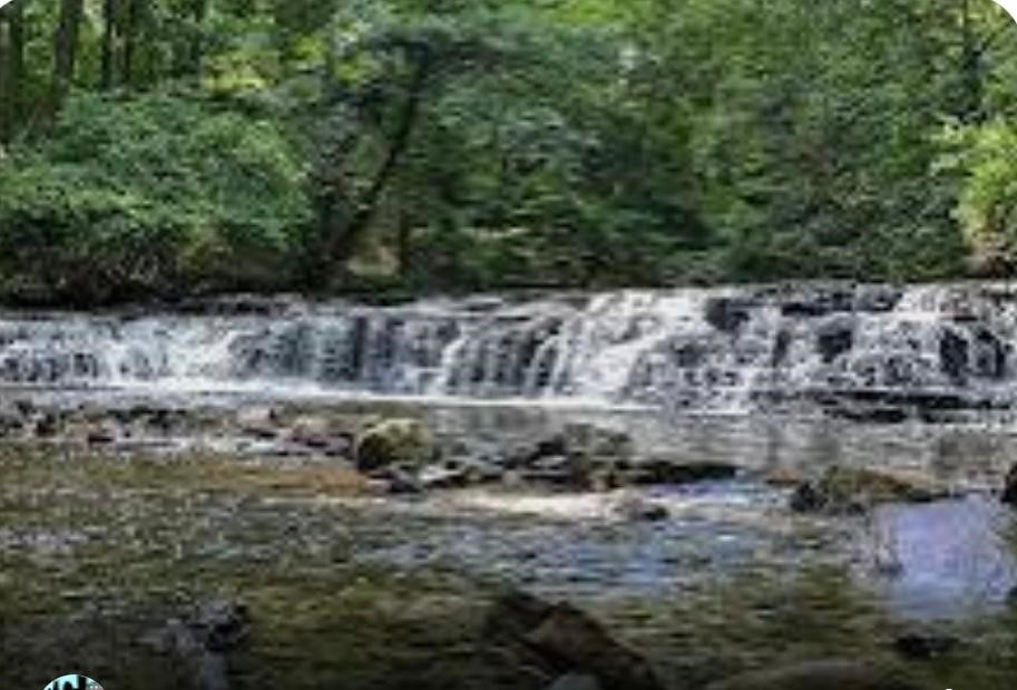 745 Winton Road Brighton, NY 14618 - Photo 46 of 49