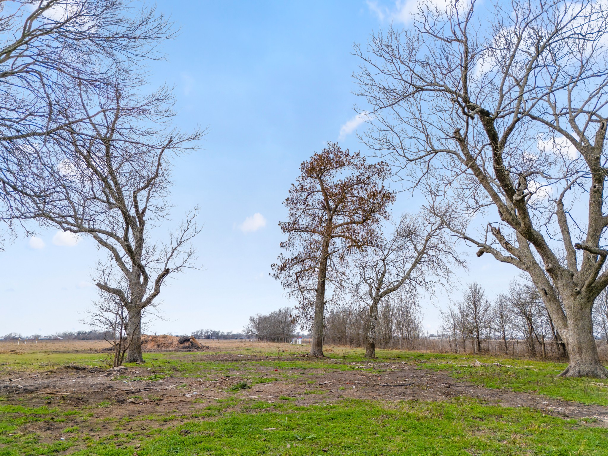 0 Hurta Road Needville, TX 77461 - Photo 19 of 31