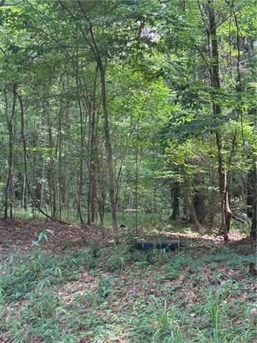0 Gin Road Pineville, LA 71360 - Photo 5 of 7