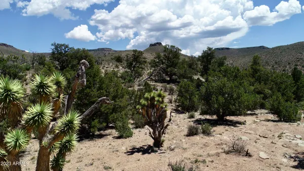 a view of a city with mountains in the background
