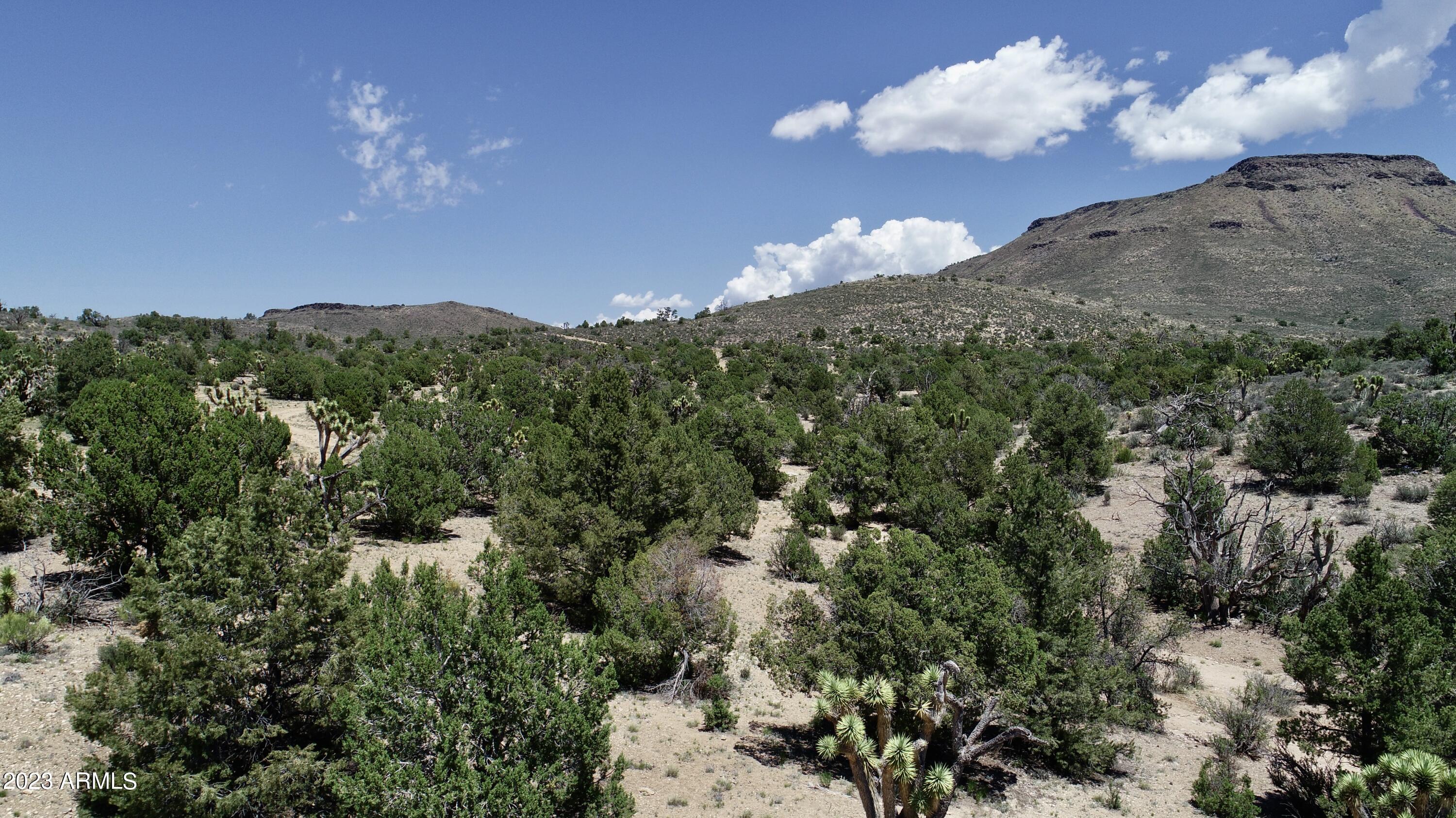 5838 East Diamond Bar Road Meadview, AZ 86444 - Photo 14 of 26 a view of a city