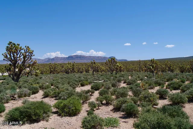 a view of a dry yard with mountains in the background