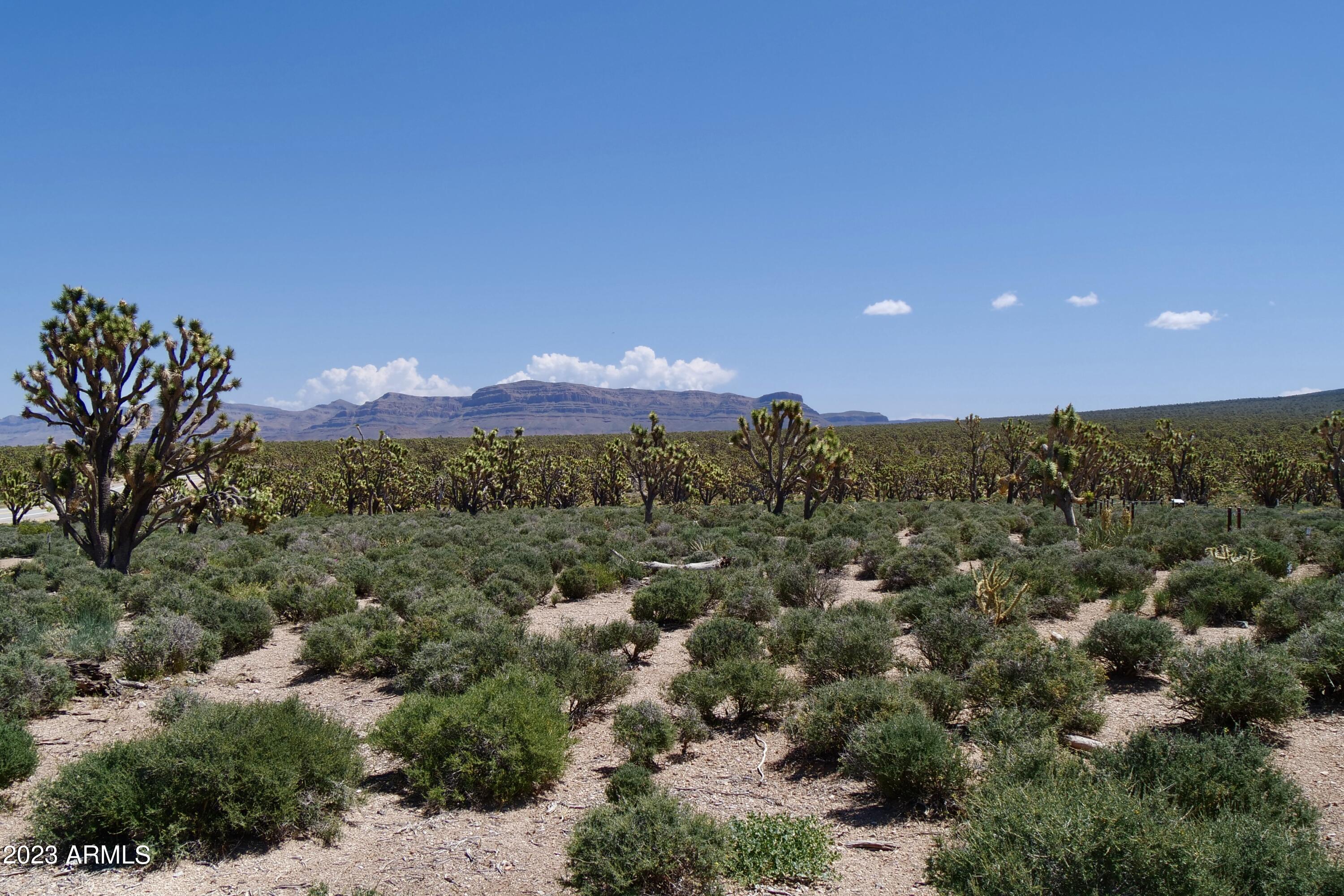 5838 East Diamond Bar Road Meadview, AZ 86444 - Photo 16 of 26 a view of a city