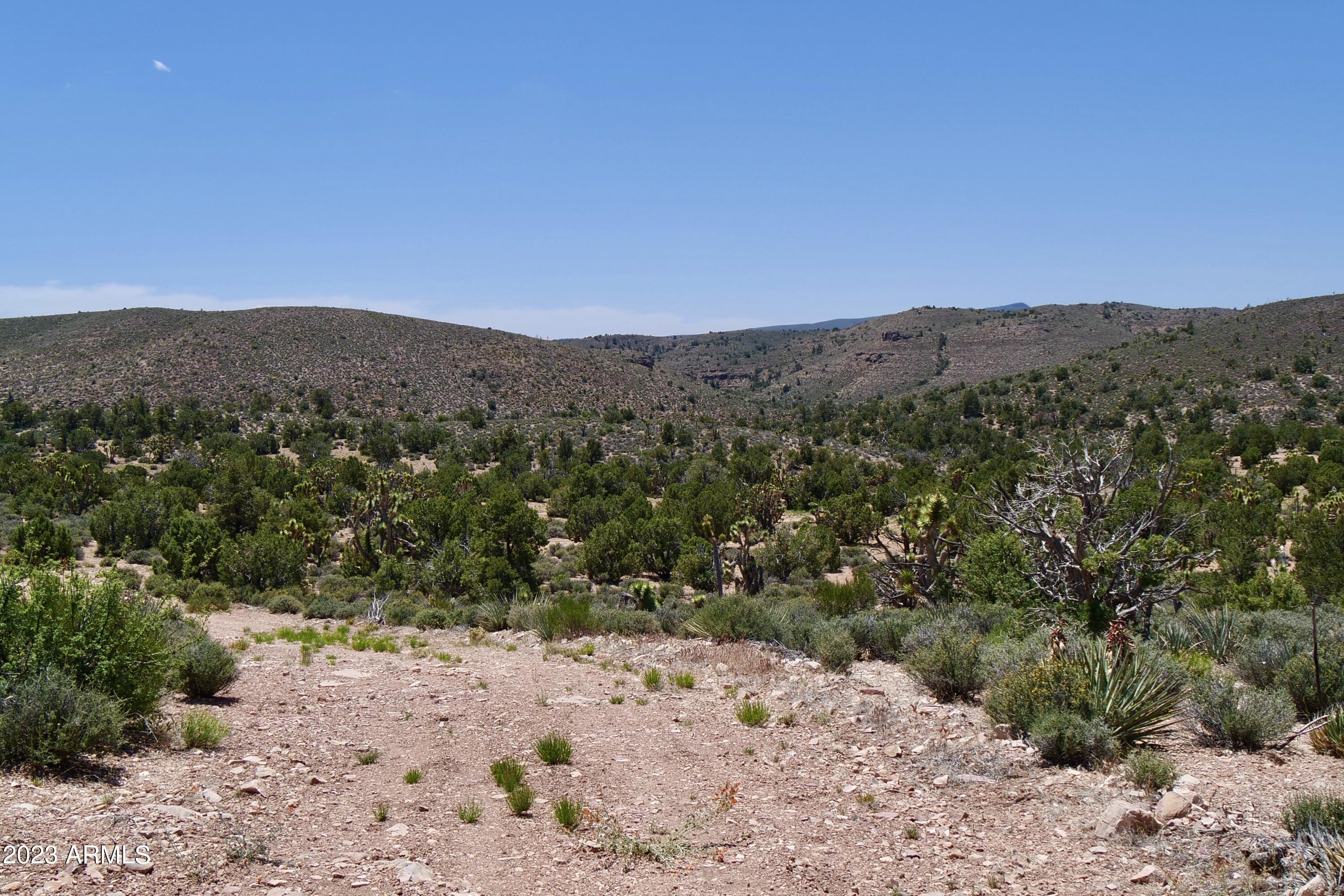 5838 East Diamond Bar Road Meadview, AZ 86444 - Photo 17 of 26 a view of a dry yard with mountains in the background
